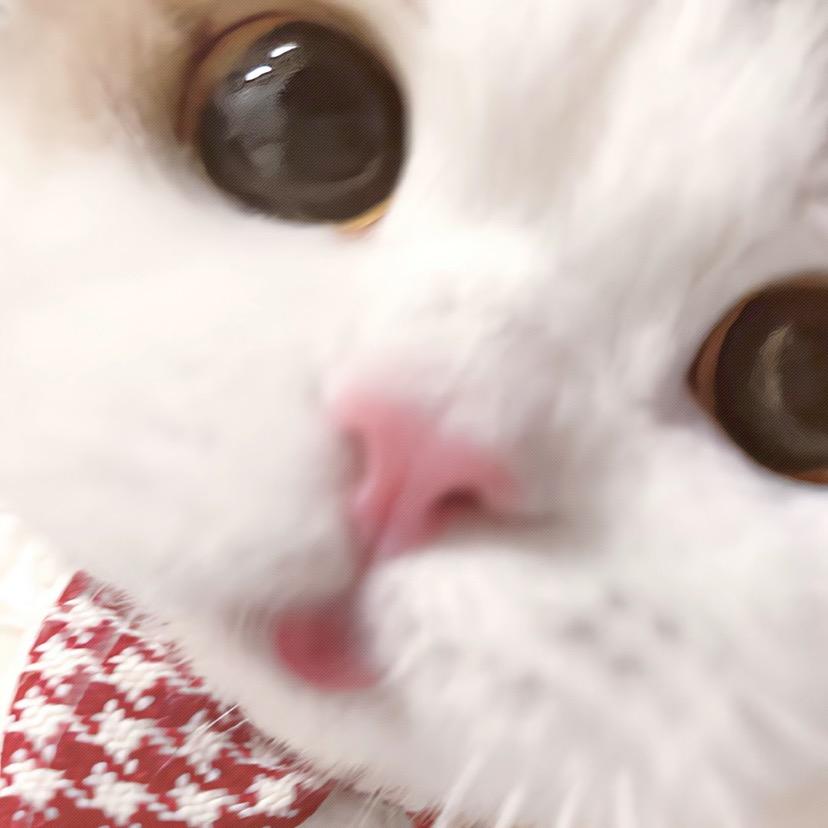 OoO