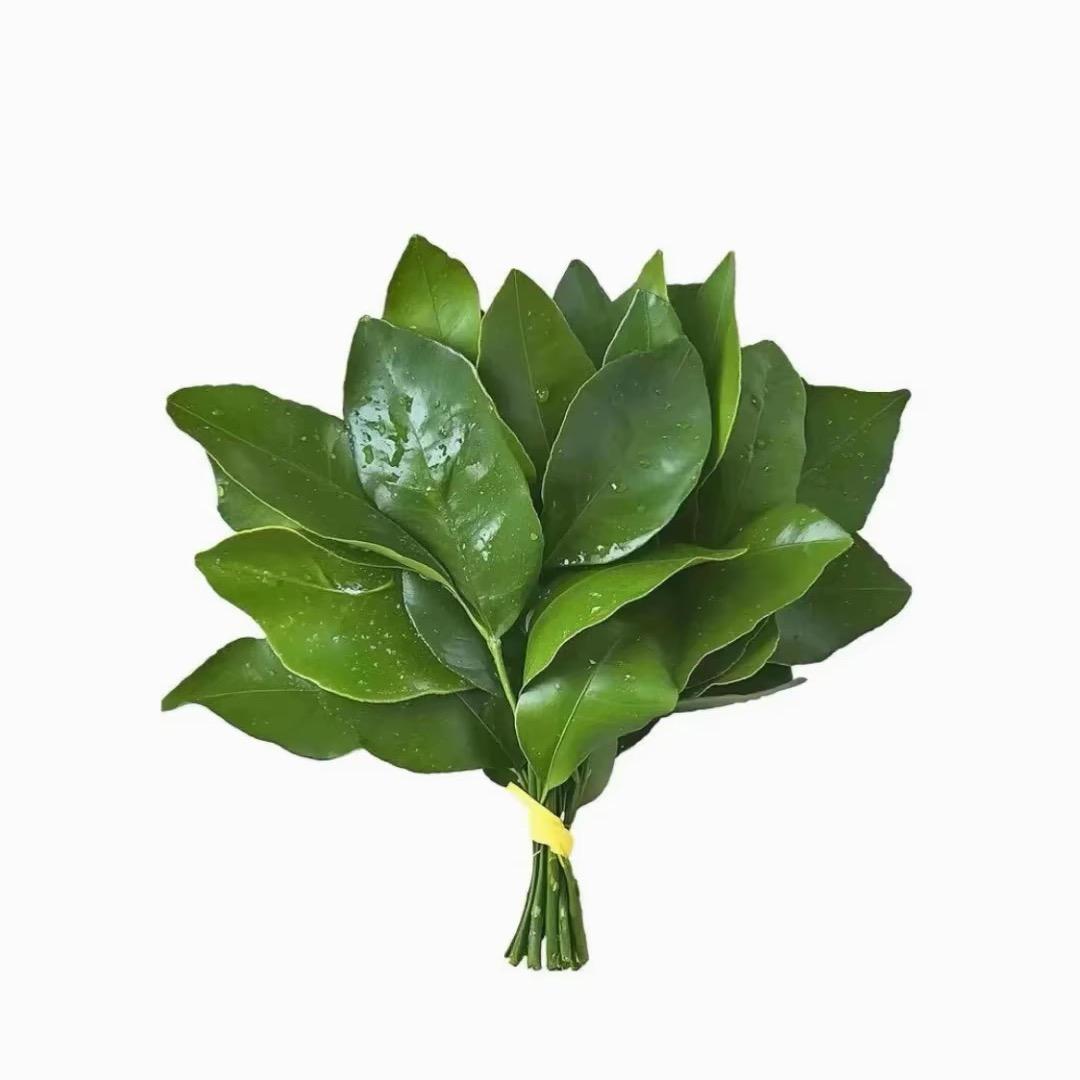 噗噗熊