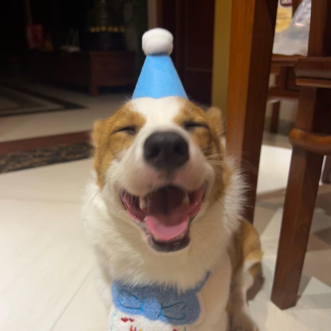 黄多多