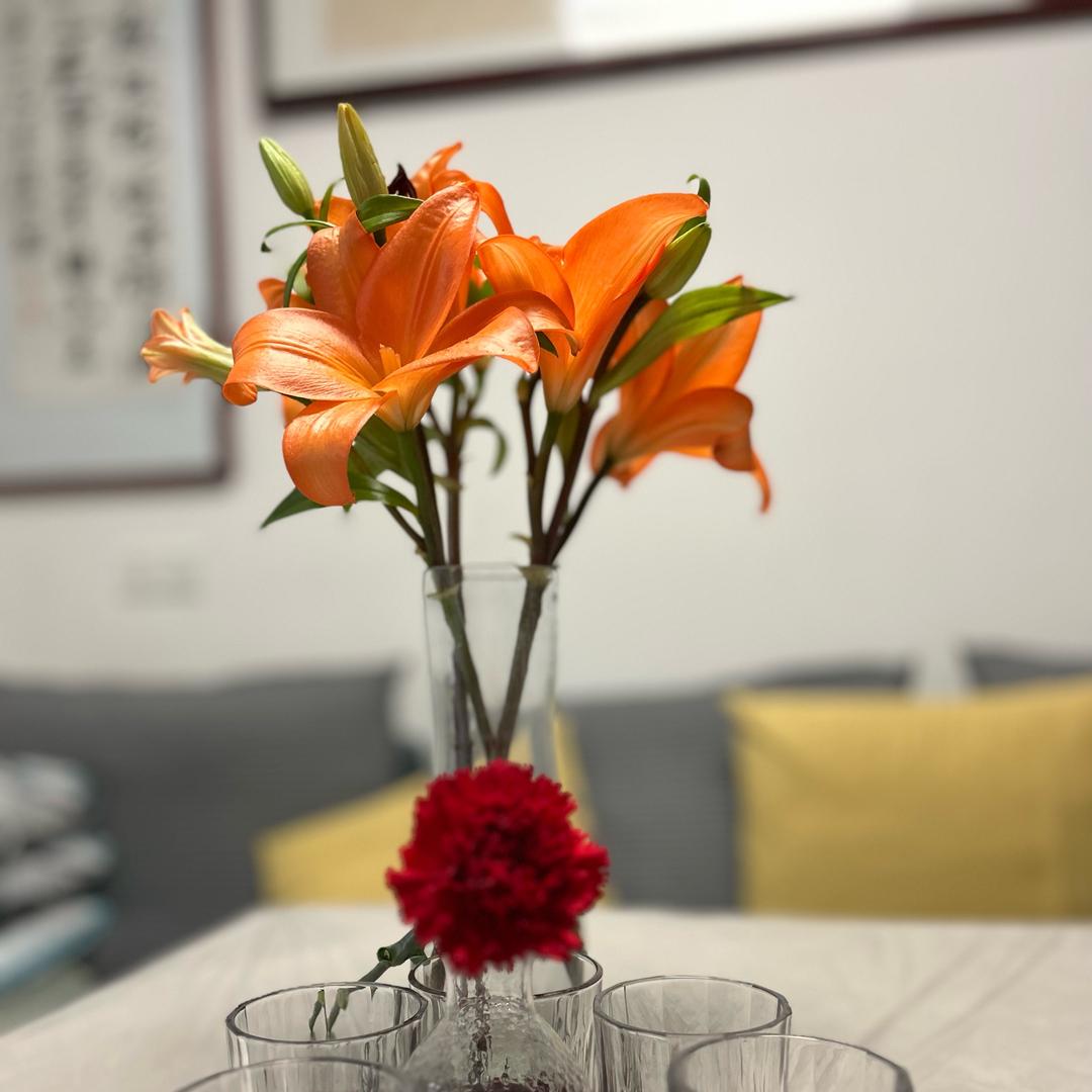 我行我素