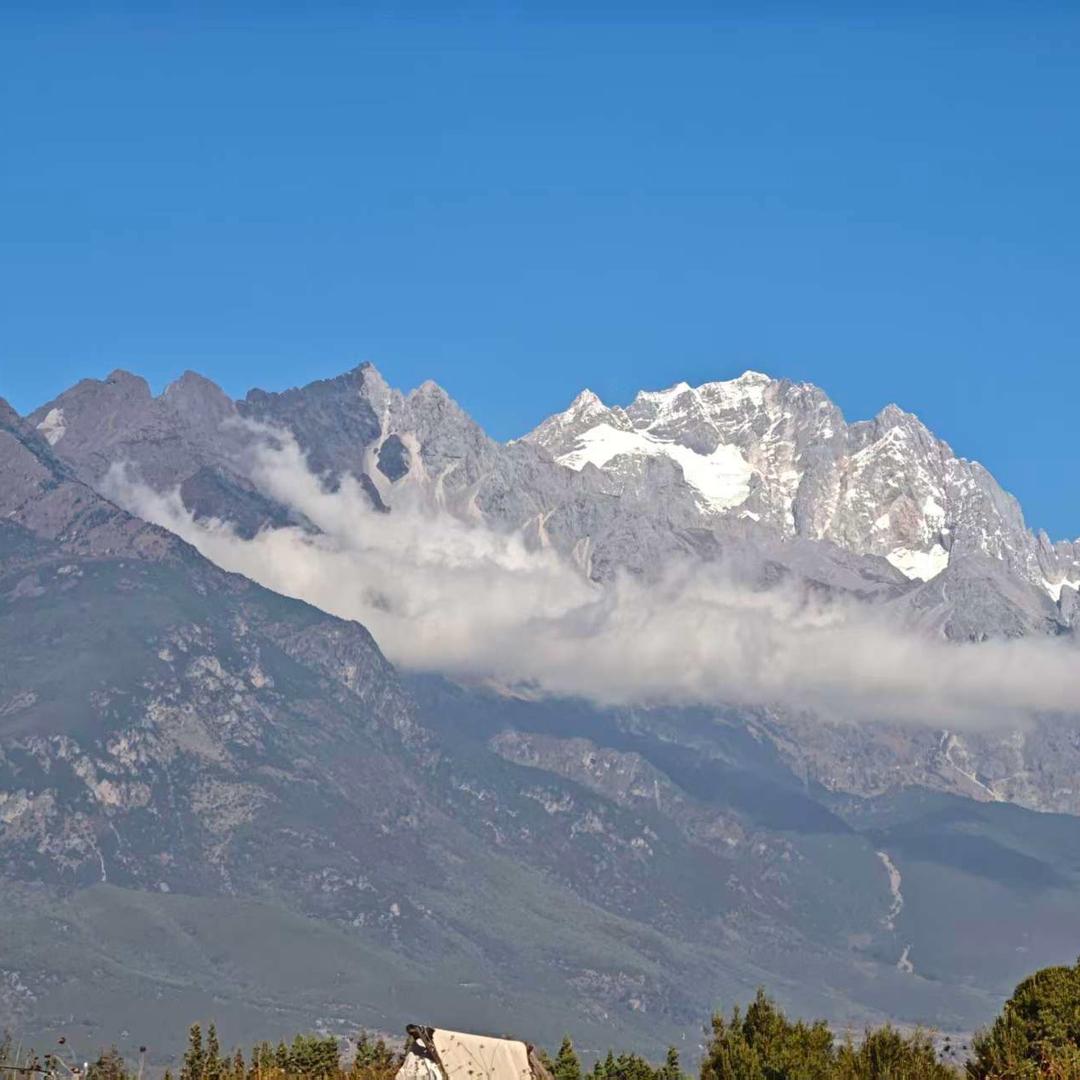 全能女斗士 | 反网暴