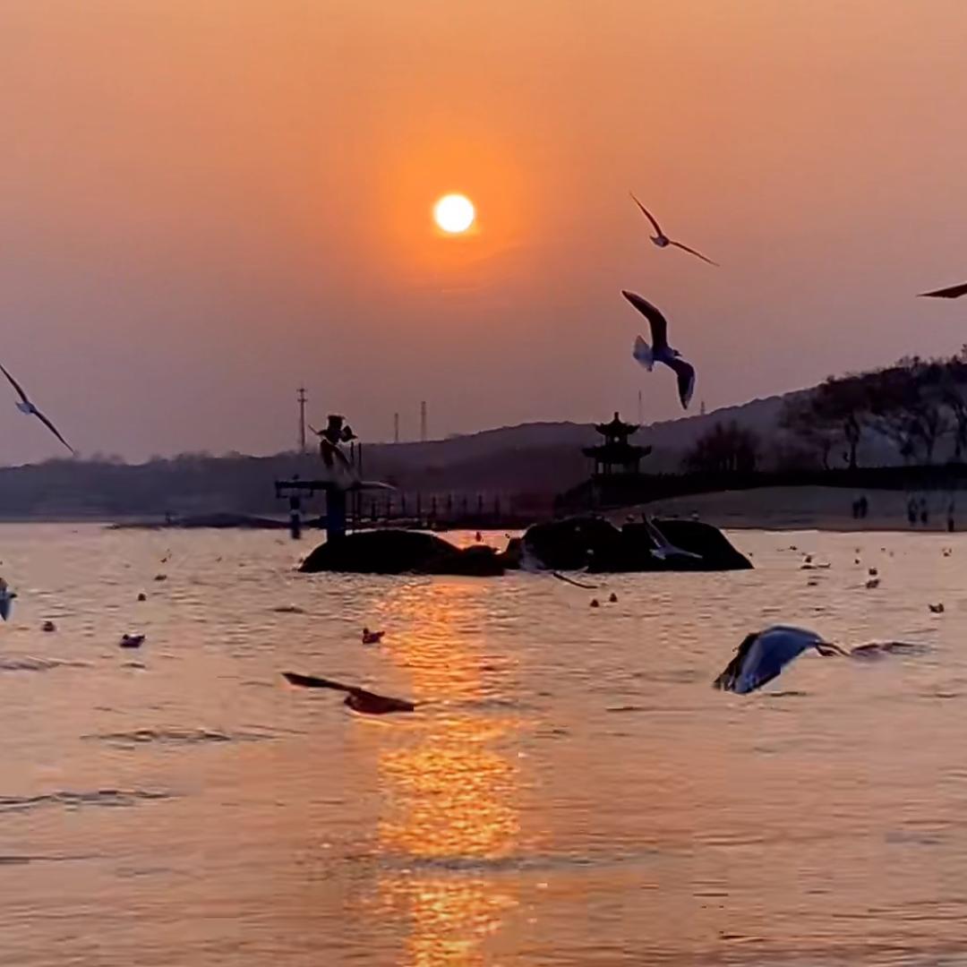 念念