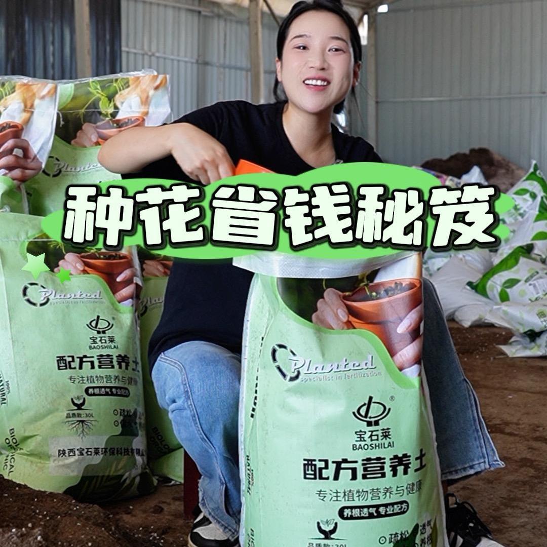 宝石莱通用营养土