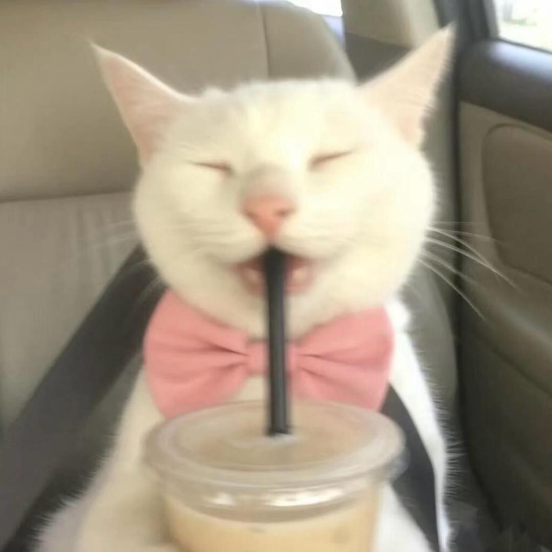 咕噜咕噜🫧