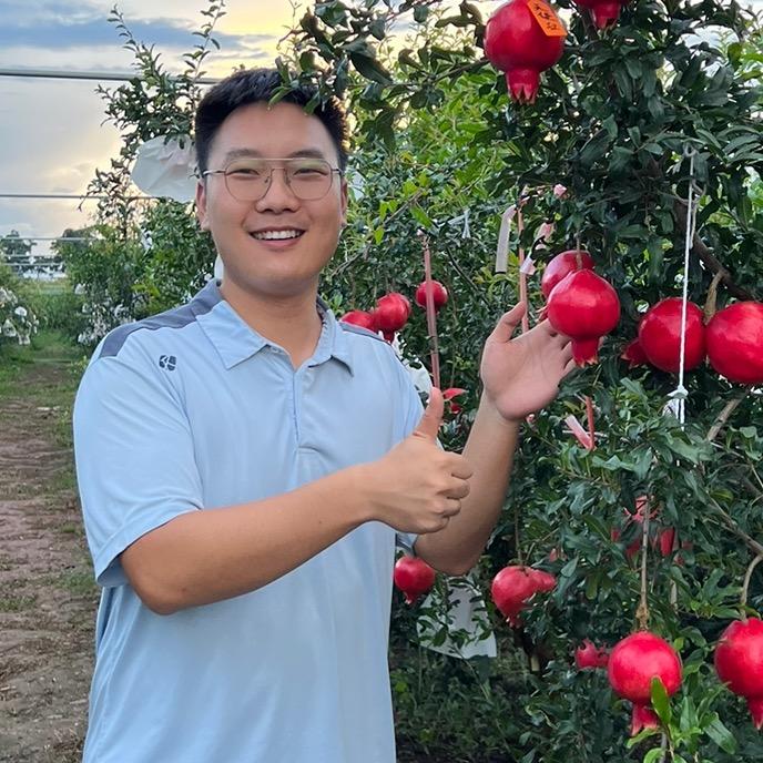 郑果施肥徐国益