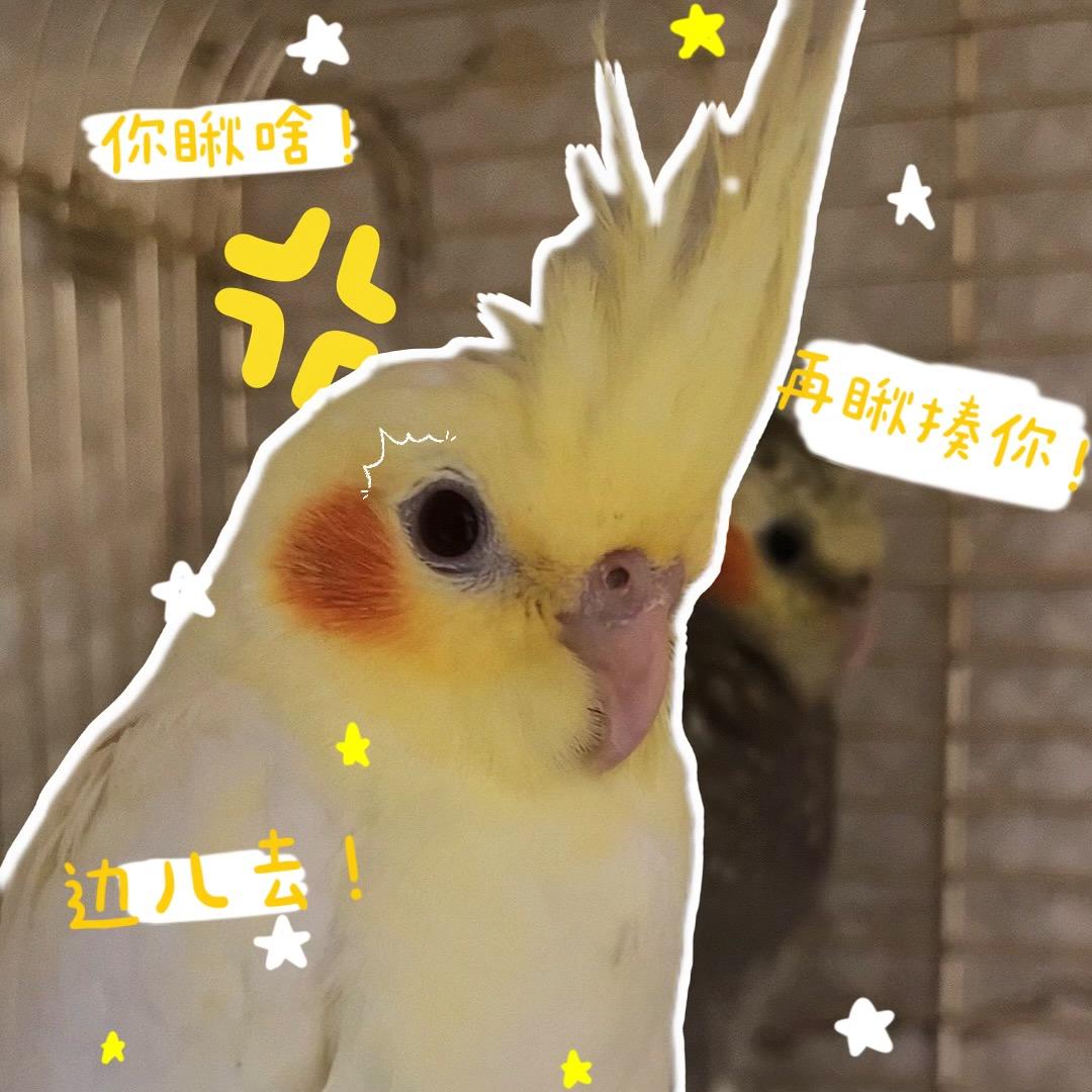 滕六
