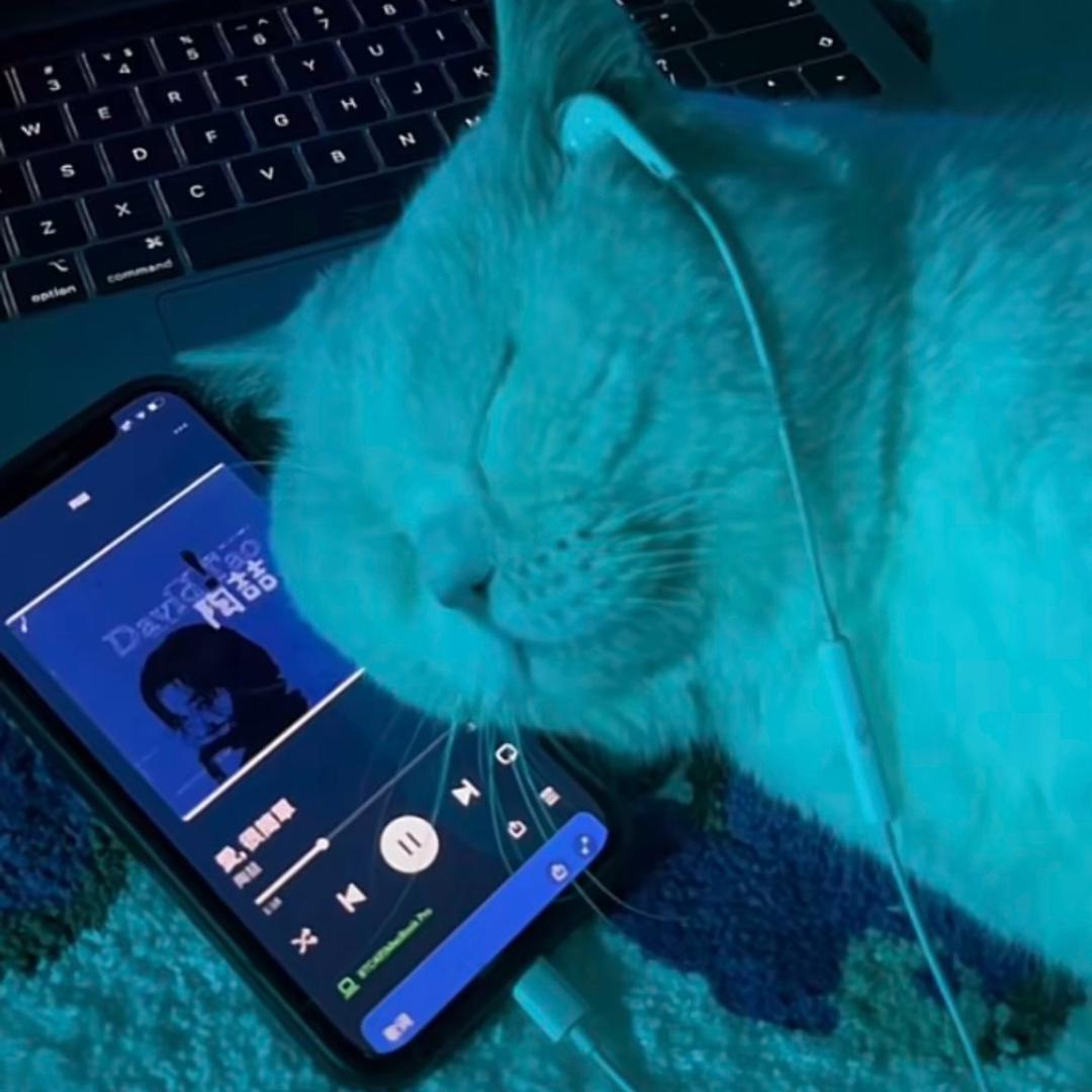 拔荔丝（恩师runaway）