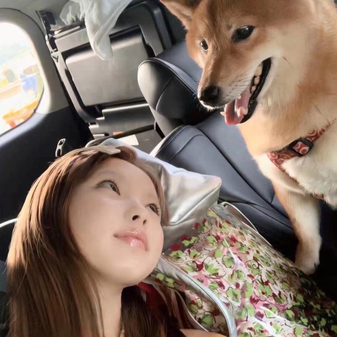 吃一口小羊羔灬