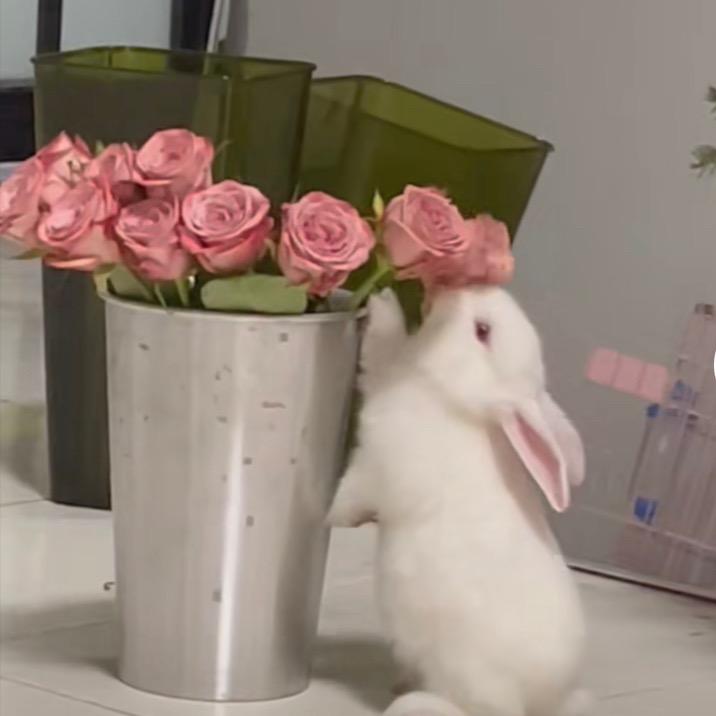 🌈去码头整点薯条