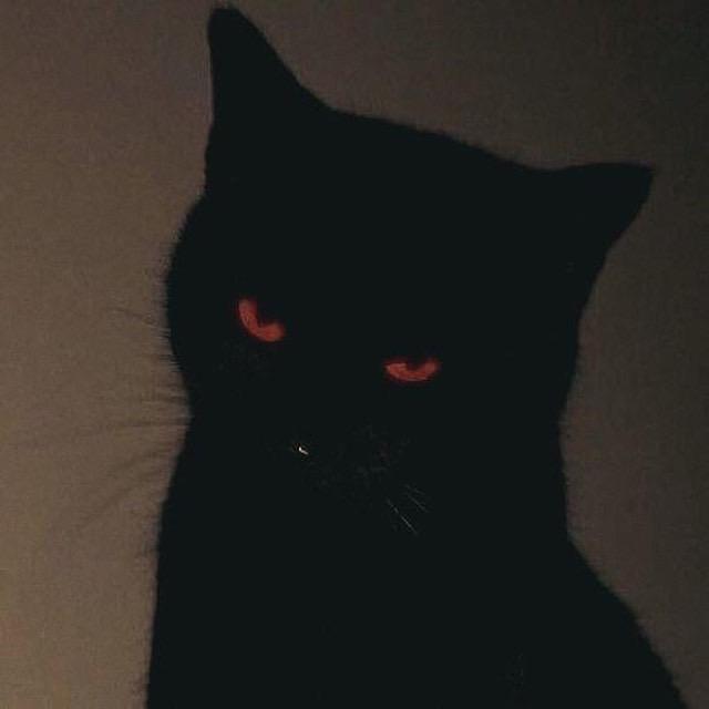kì