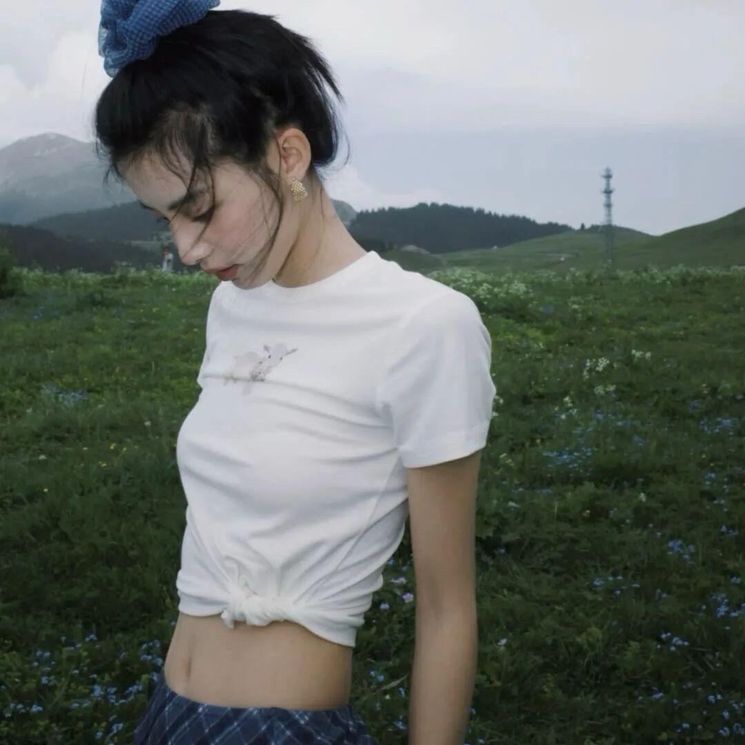 油碟