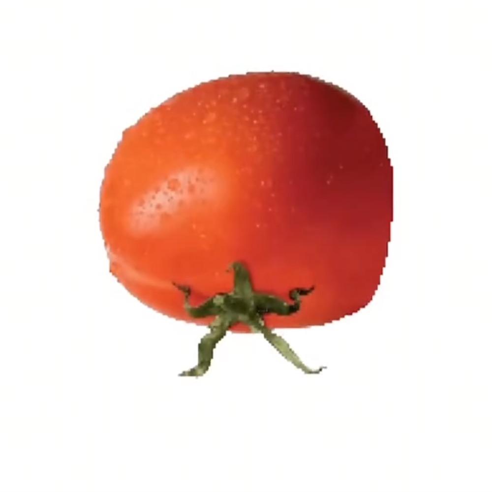番茄番茄🍅