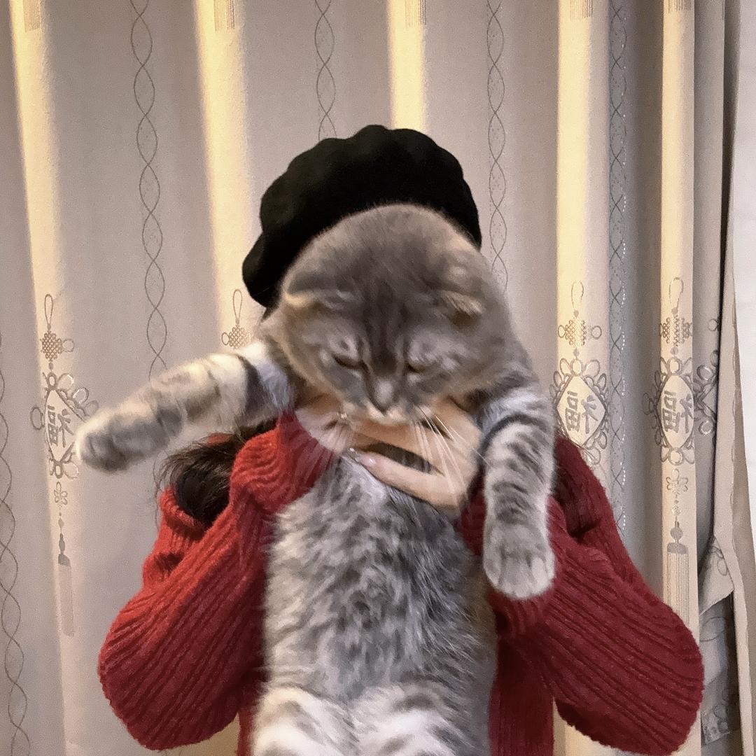 L''