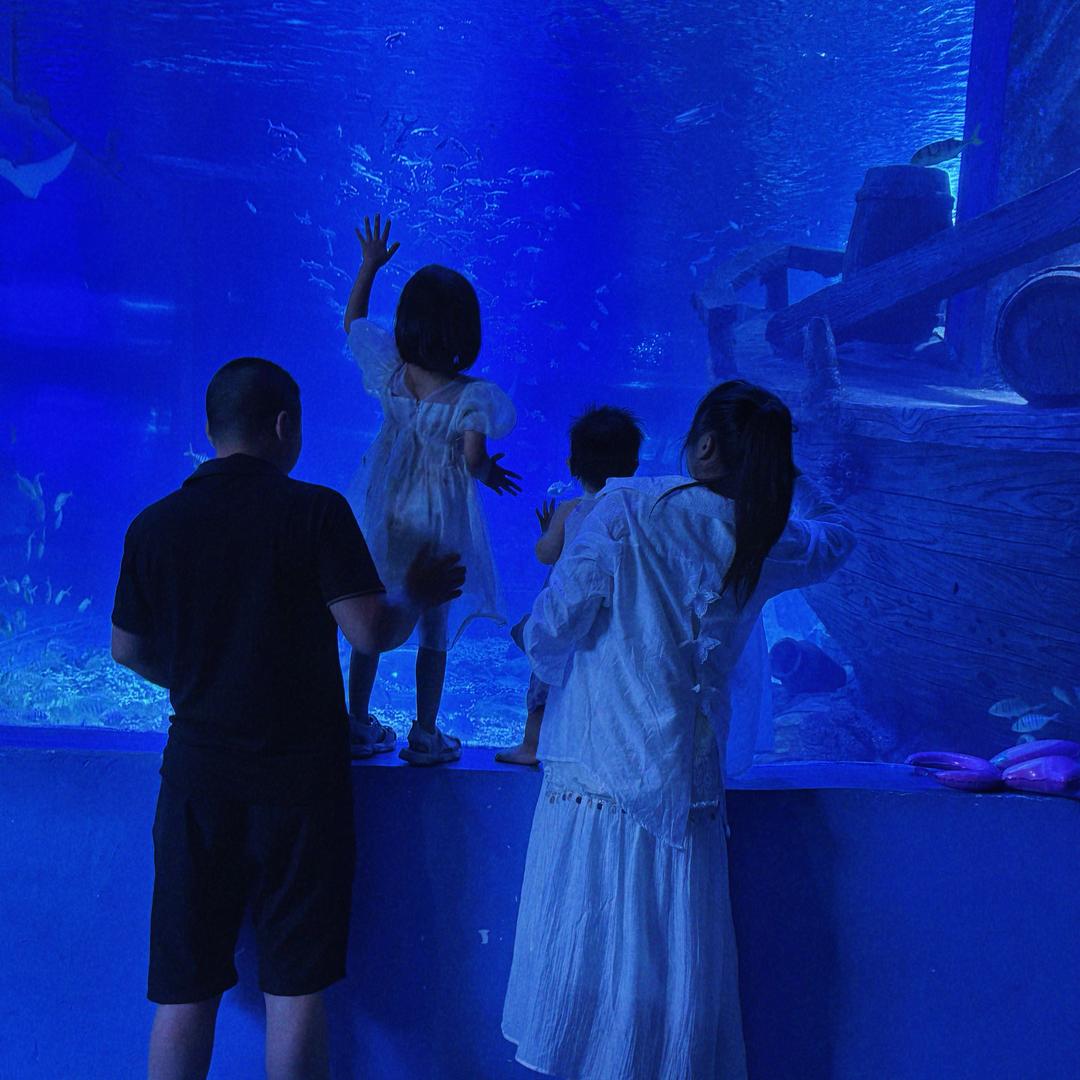 🌈两小黄吖～赣南脐橙