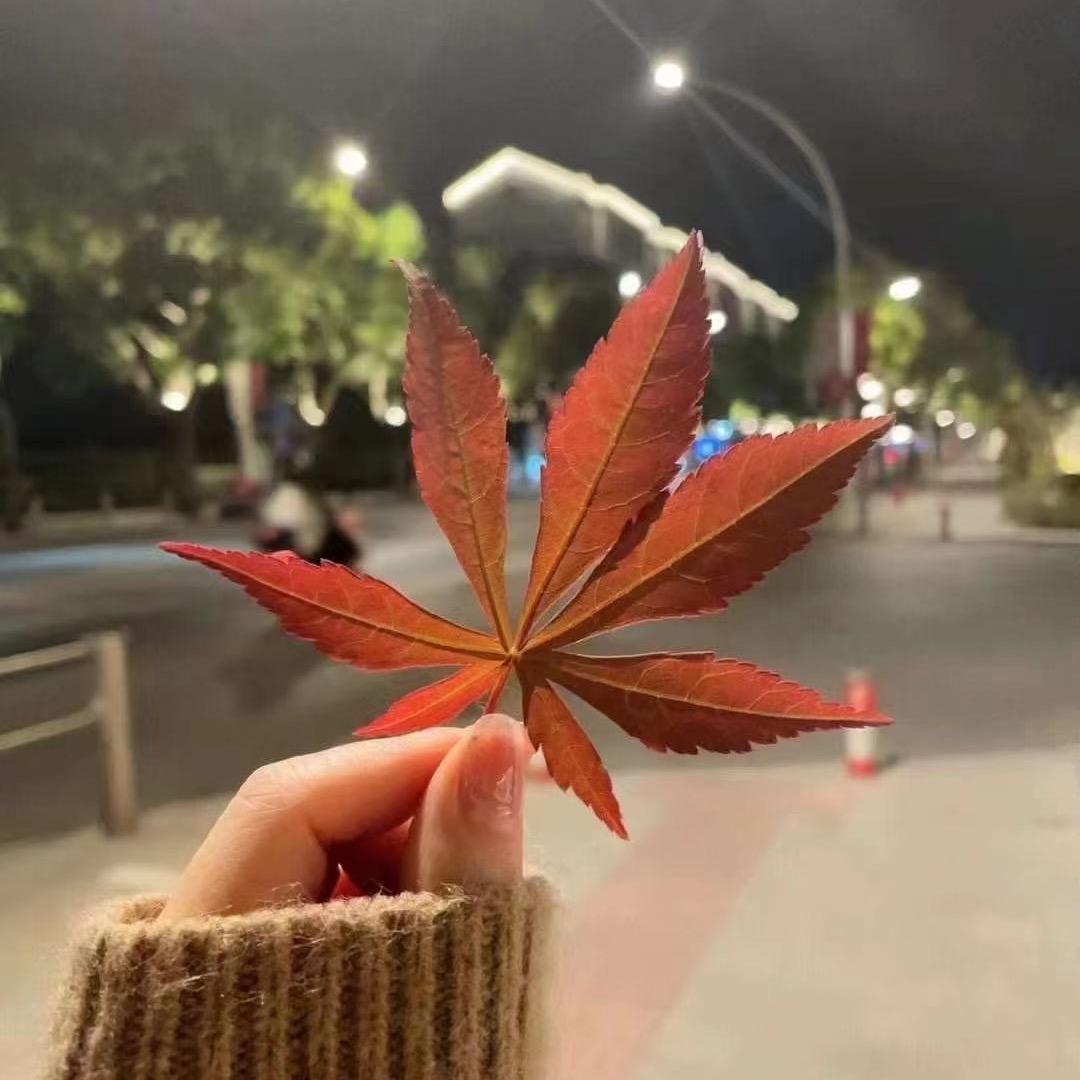 ヾ(✿ﾟ时光