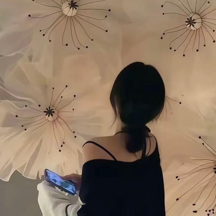 星耀文化传媒有限公司