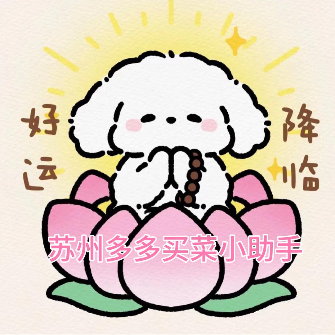 苏州梅李电商仓小助手