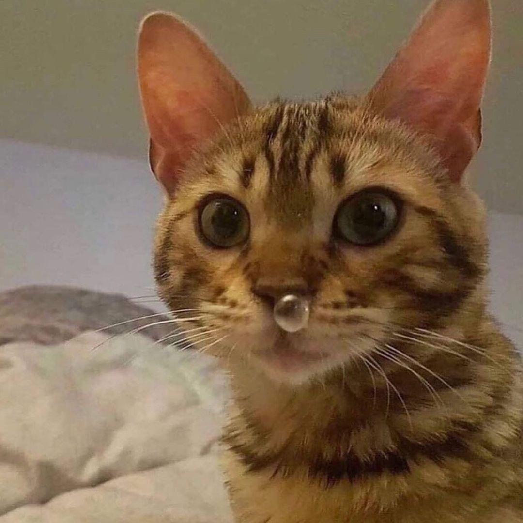 周若伊