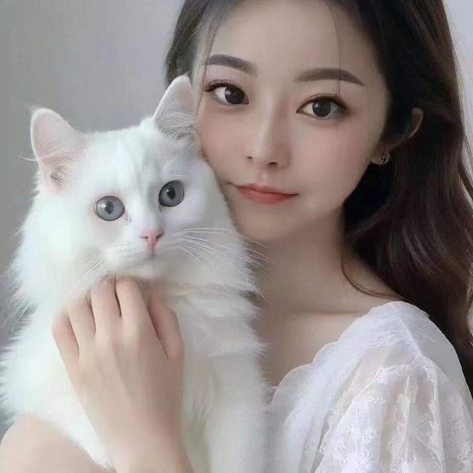 王者安然2