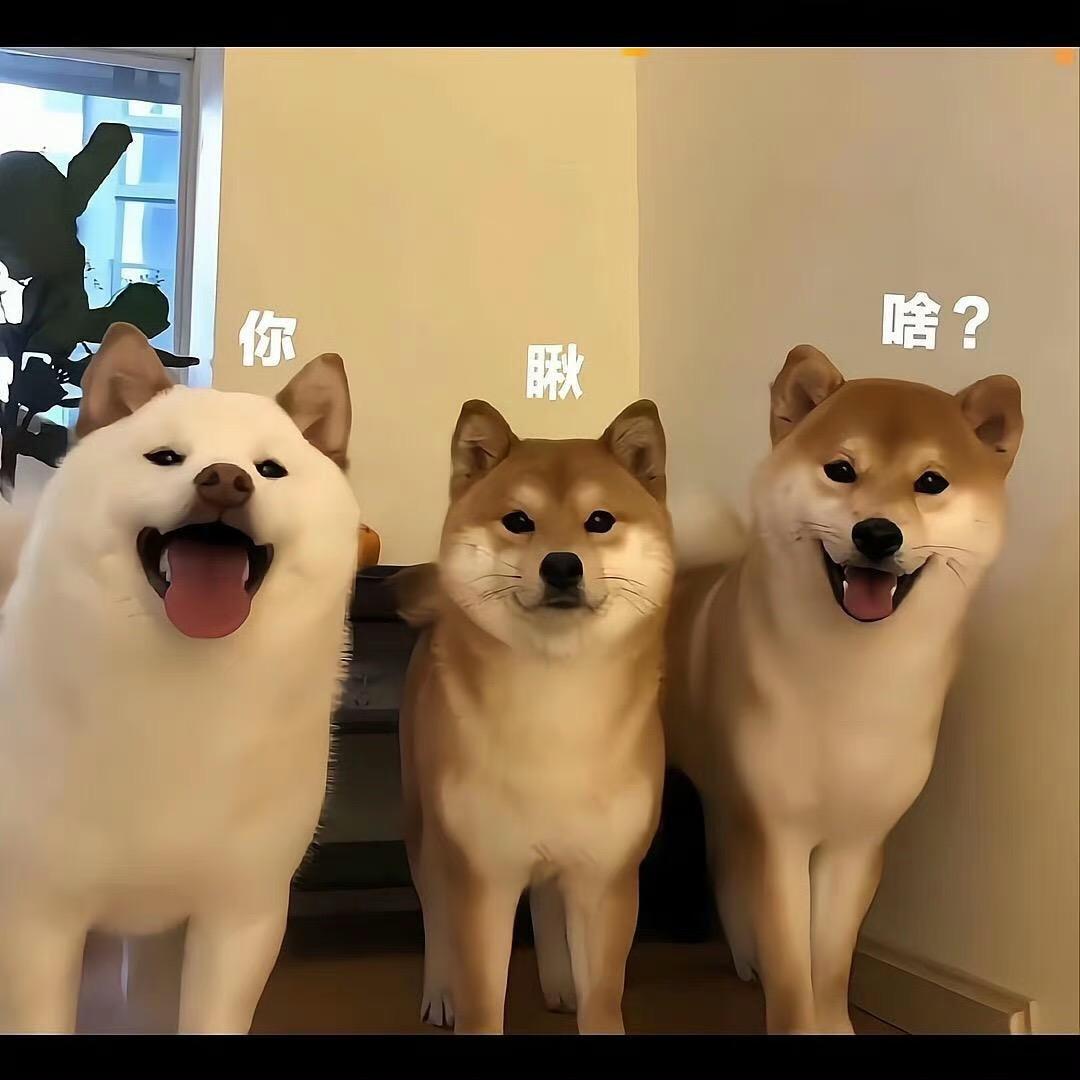 🌈一口一个🫧