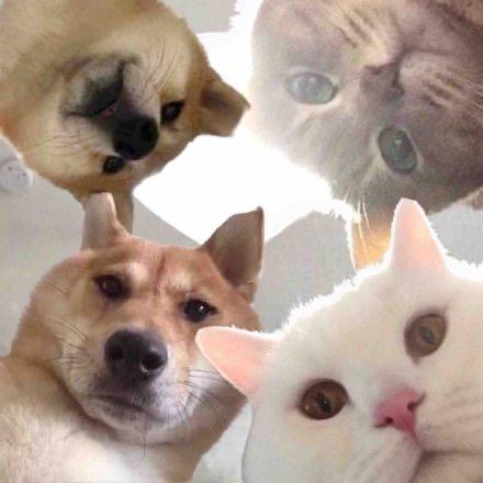 🍓 刘Liˊᗜˋu💖