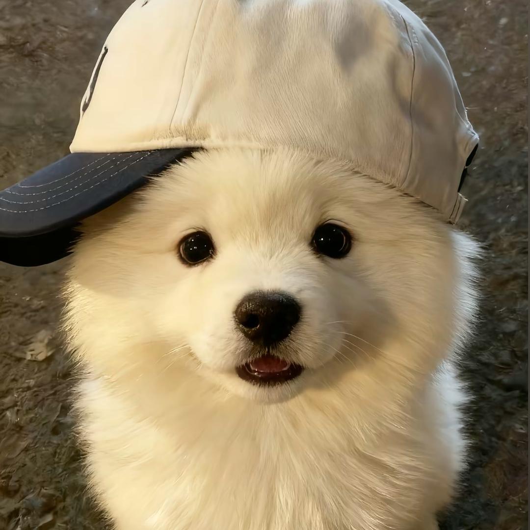 叁木.
