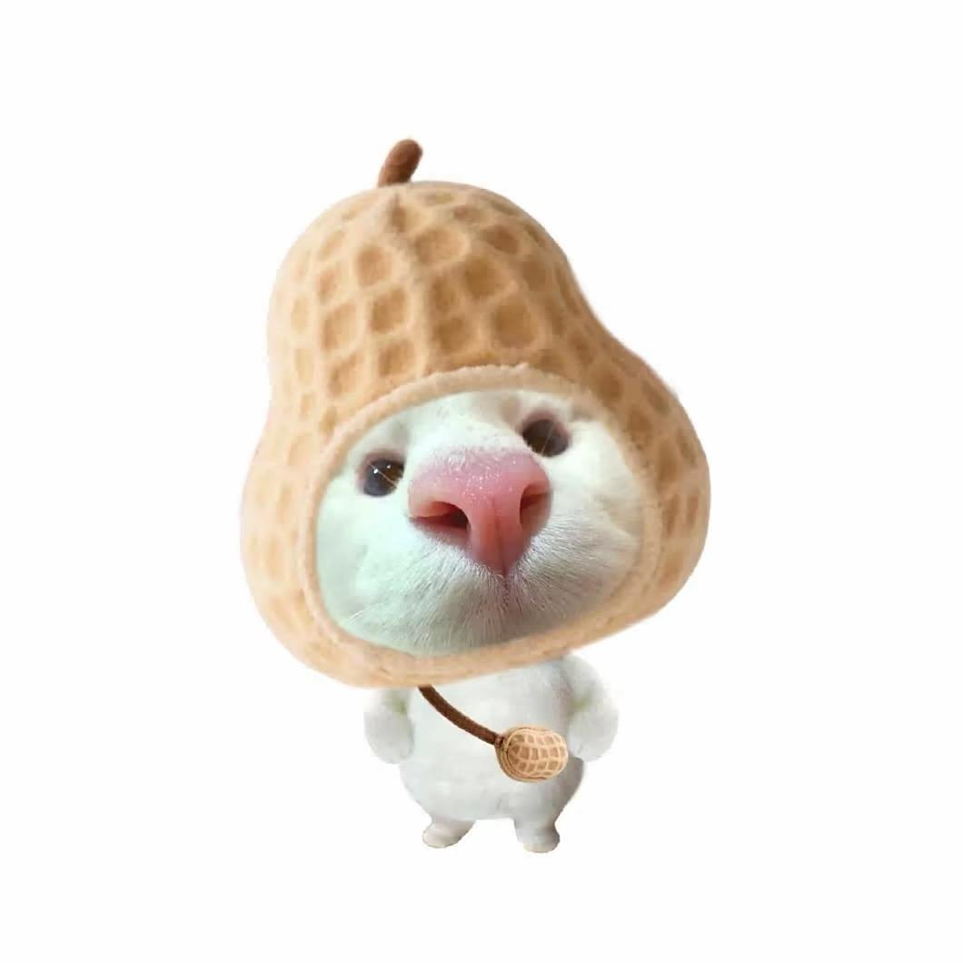 九粥.🐾