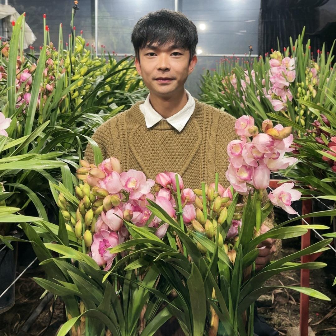 鑫尧花卉