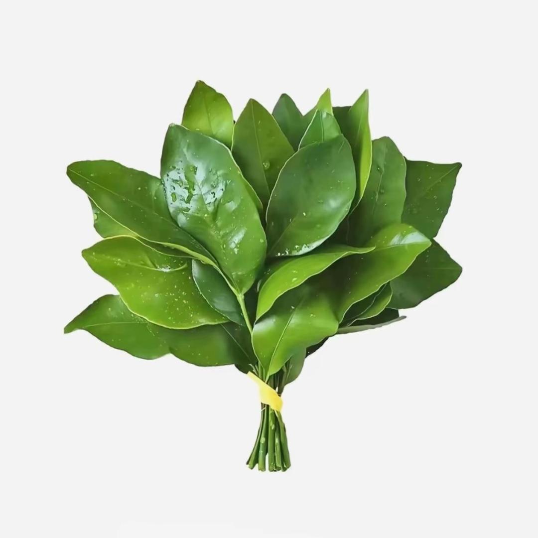 骂我的替我挡灾