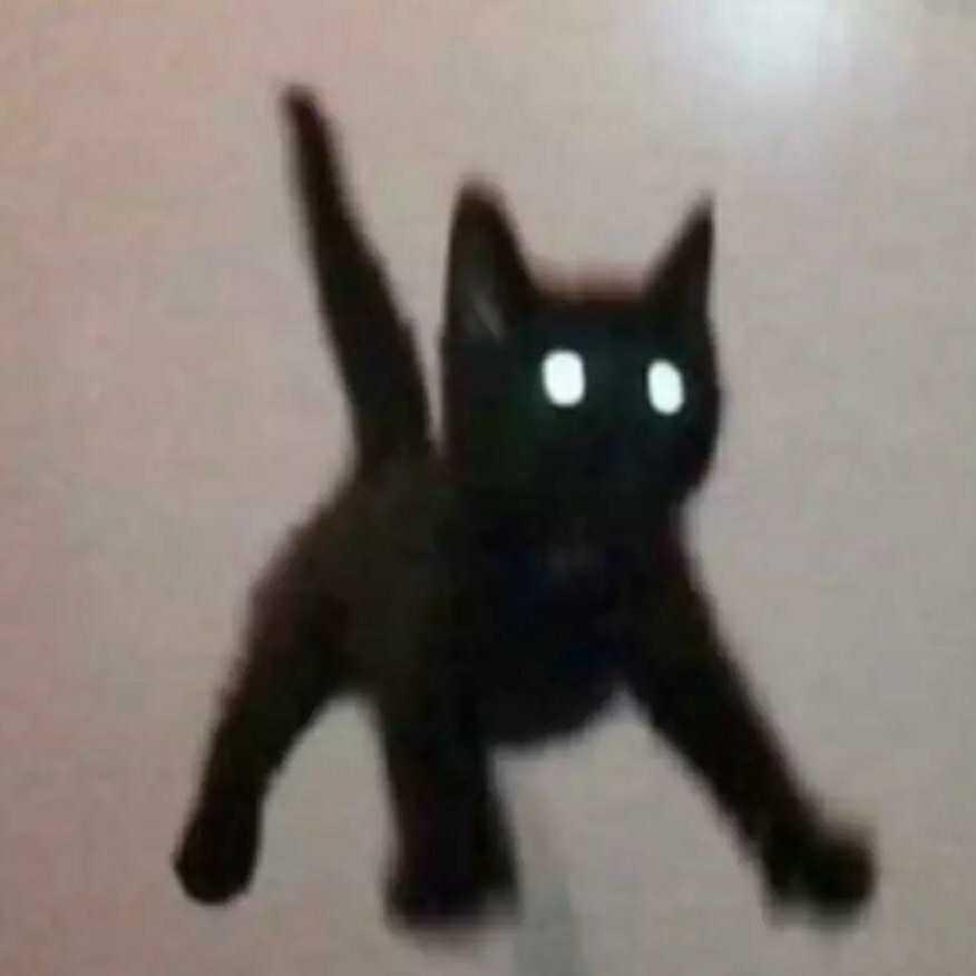 啊啊哈