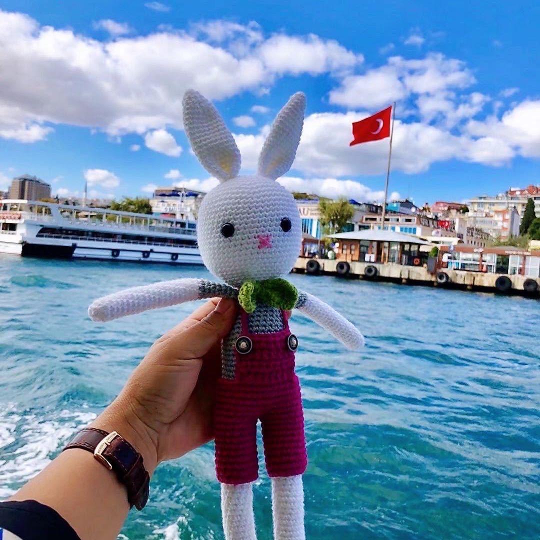 🐰旅游兔🐰
