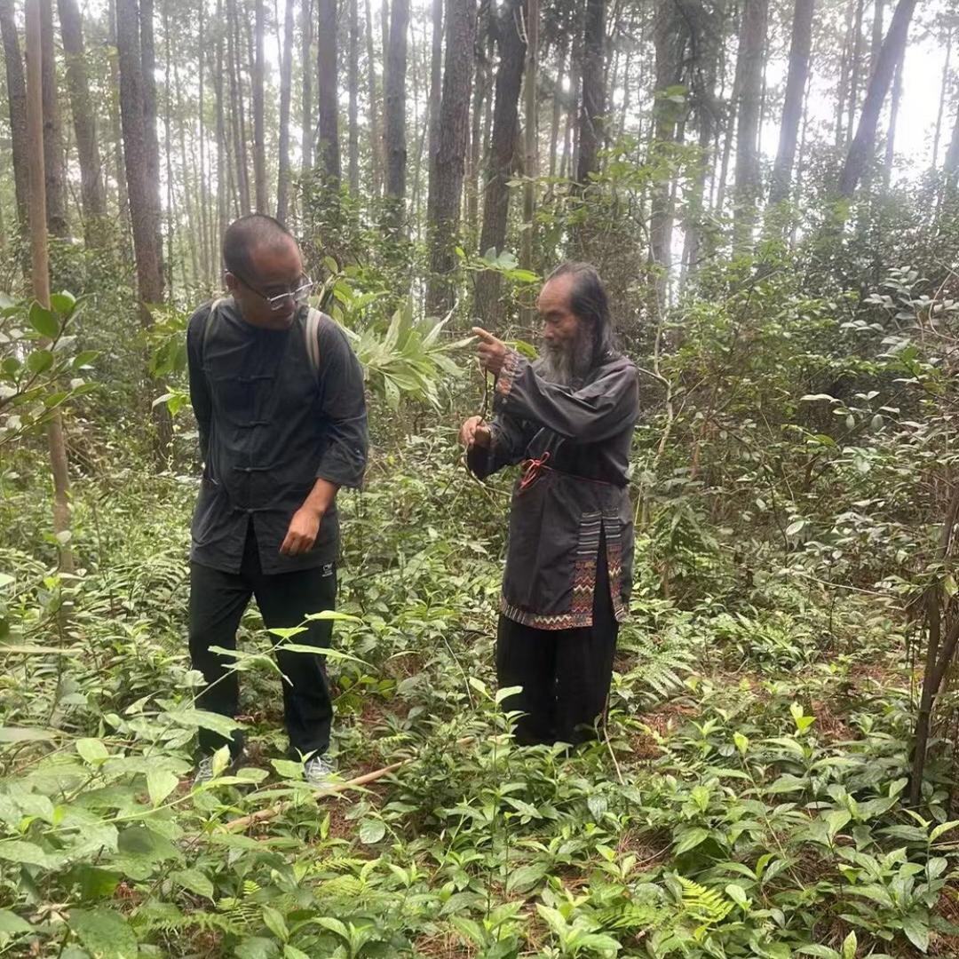 苗老传承