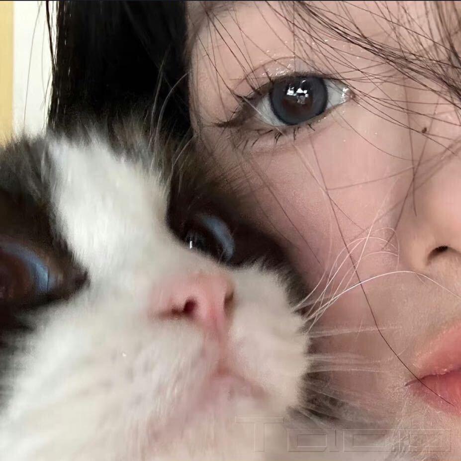 芊🐰