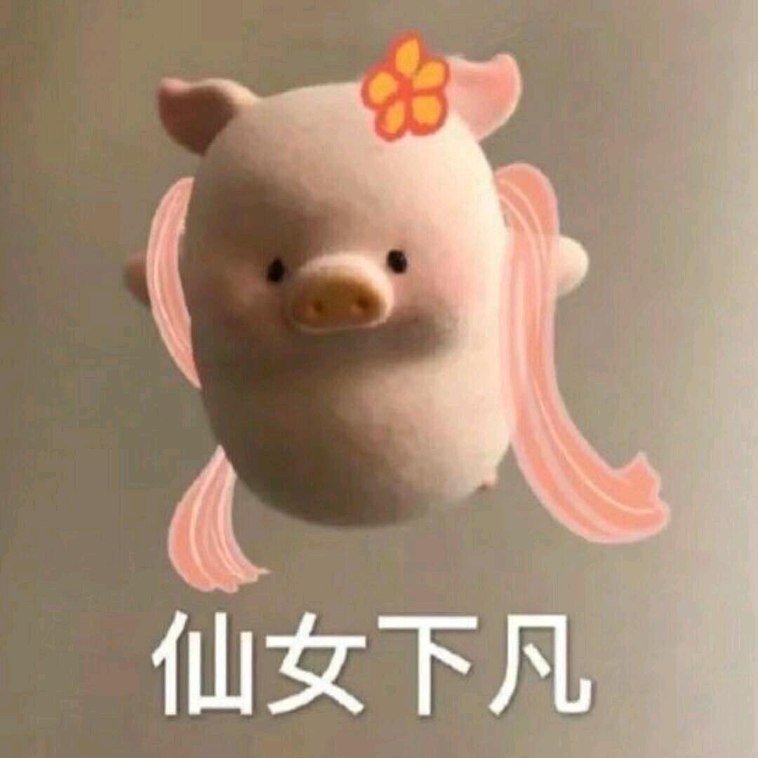 坨坨