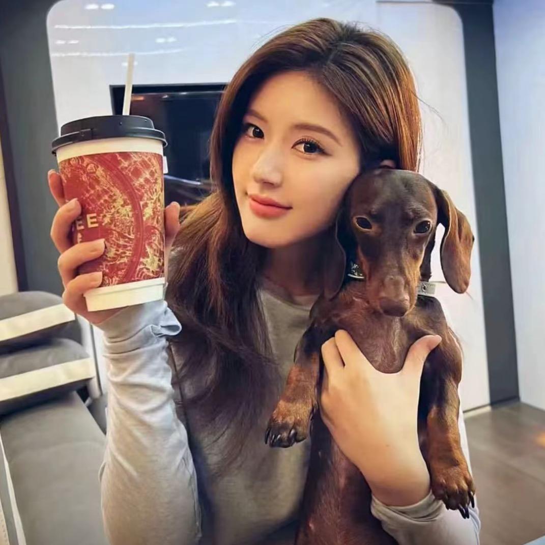 我想回浪浪山🍗