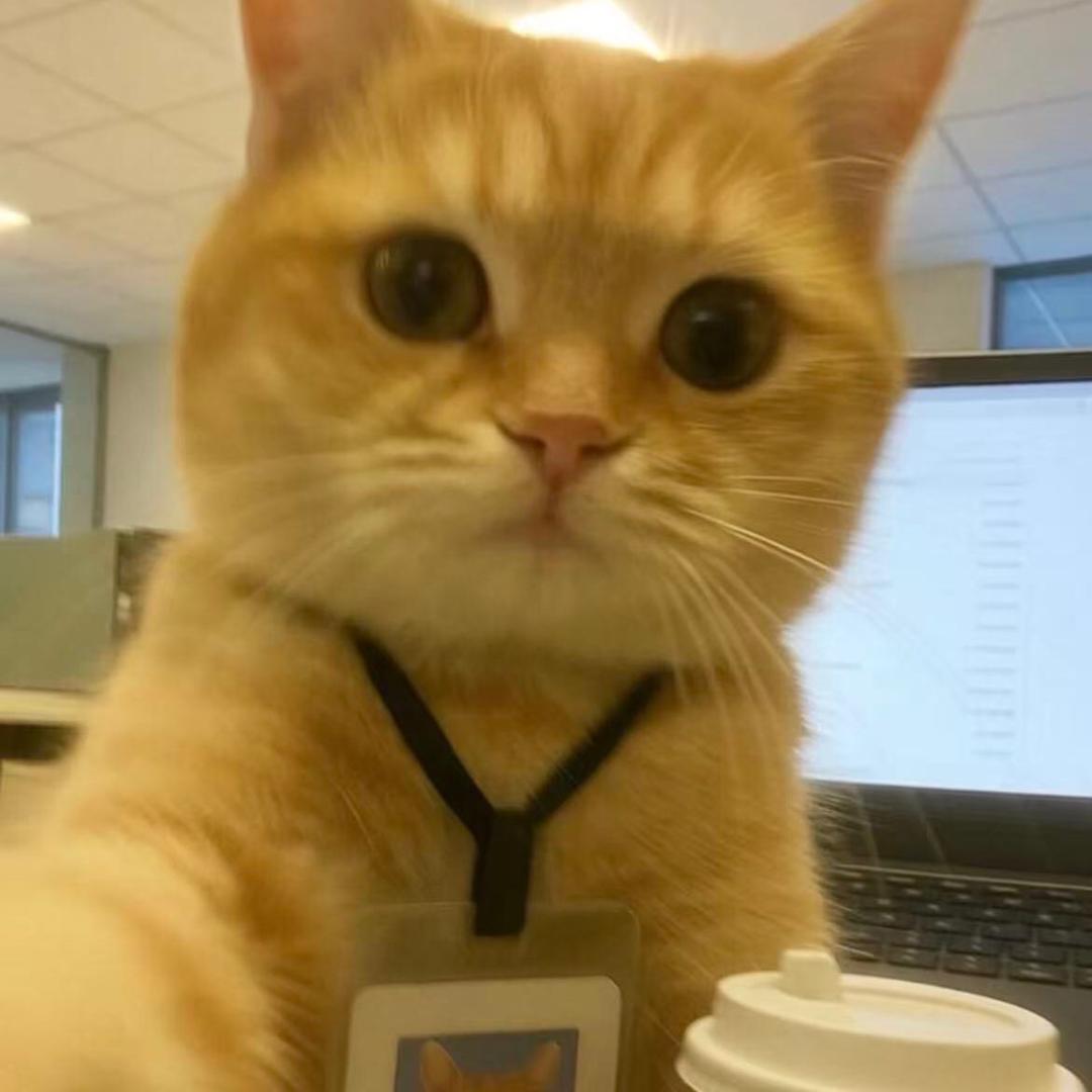 好孕七七的店铺