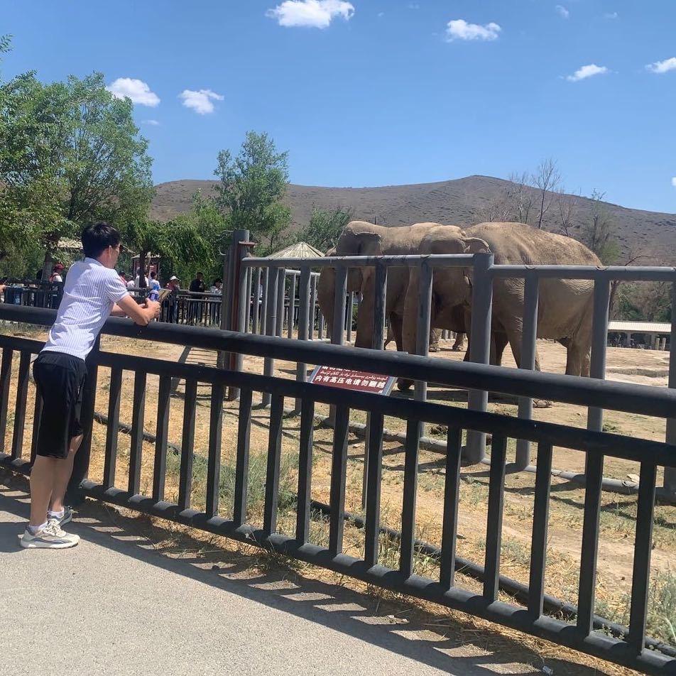 小迪🚴‍♂️🖥💻