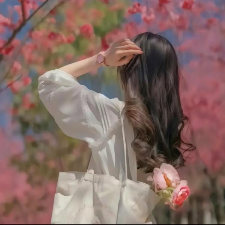 依一布舍