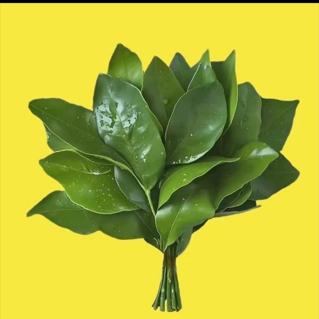 相逢何必曾相识