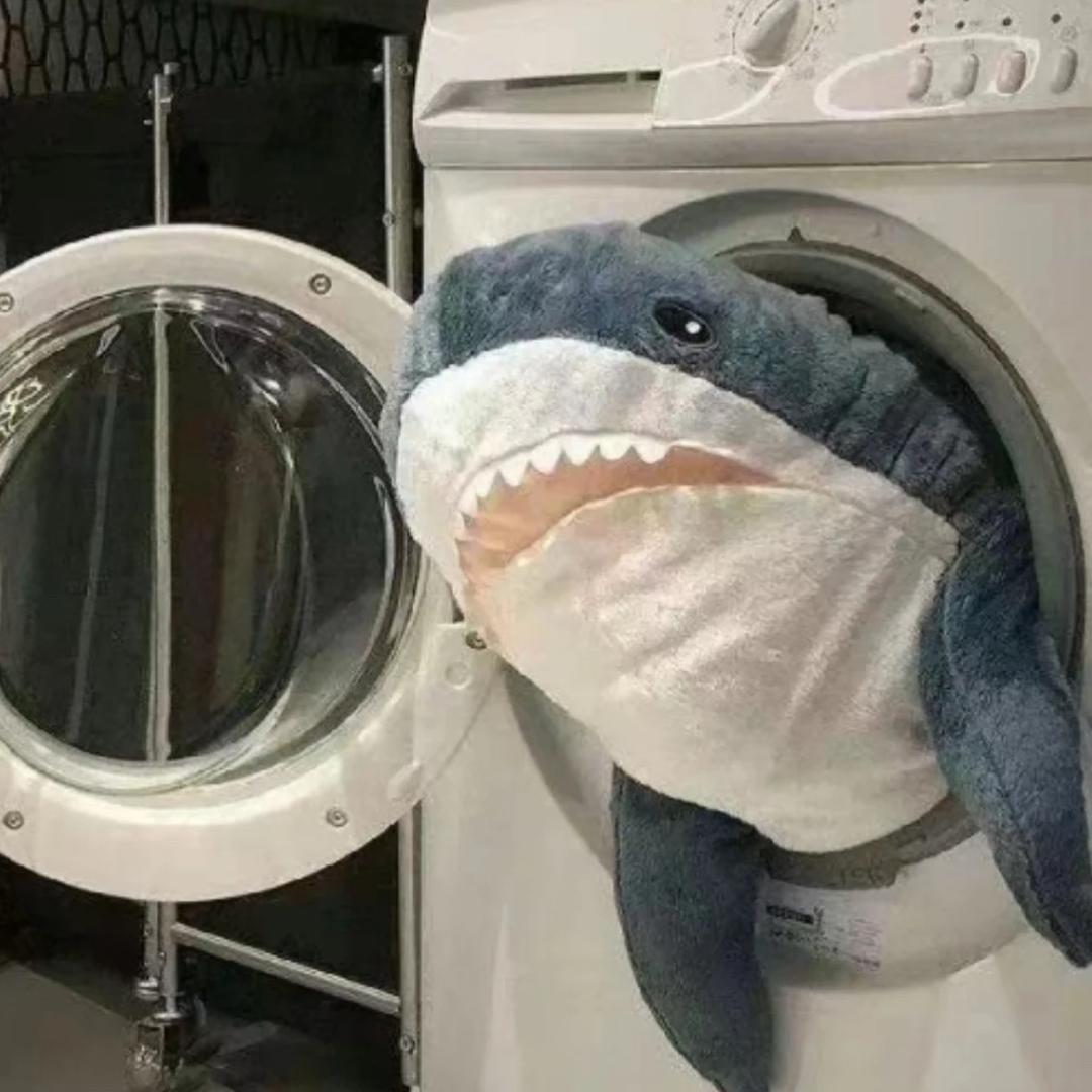 雾起'