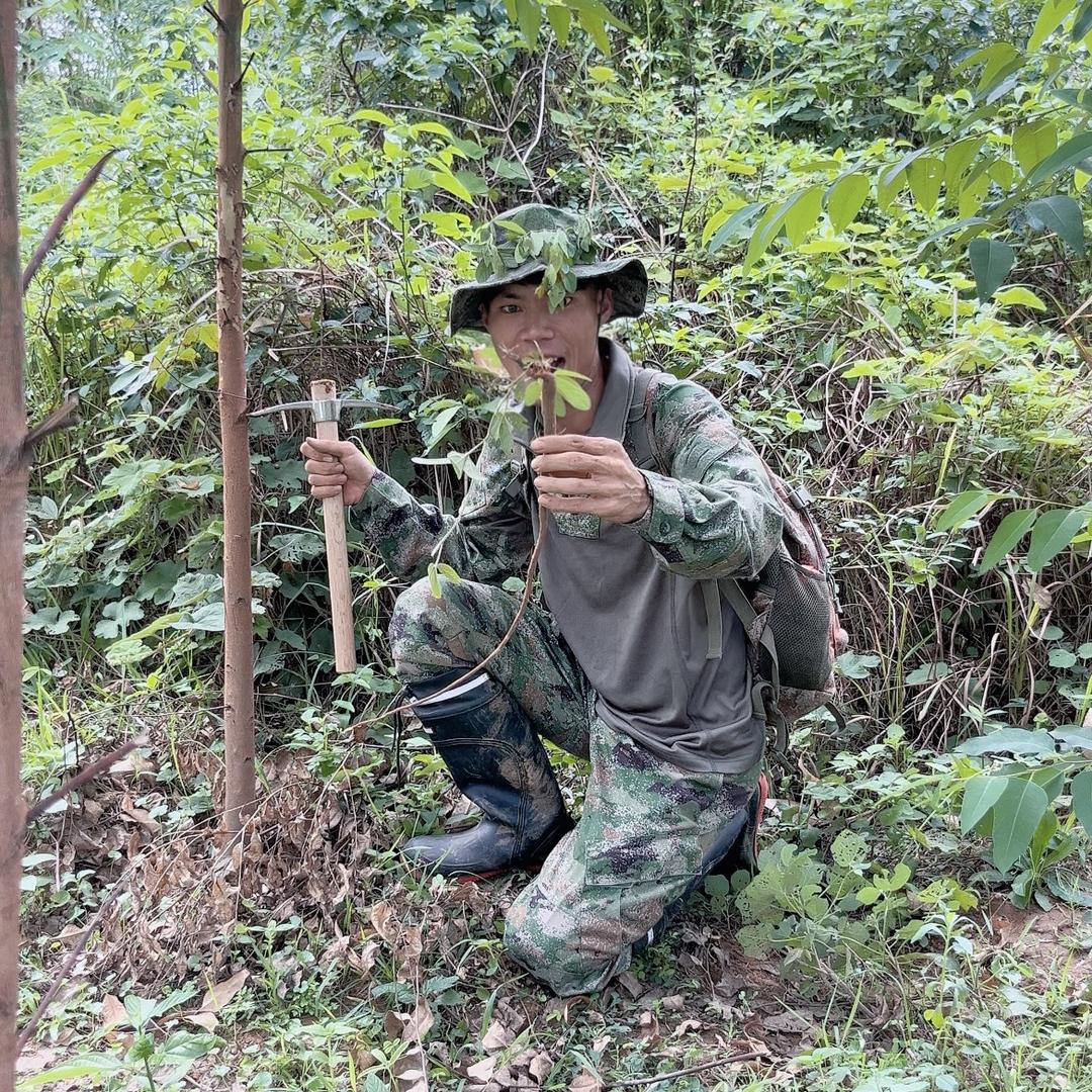 百草王子