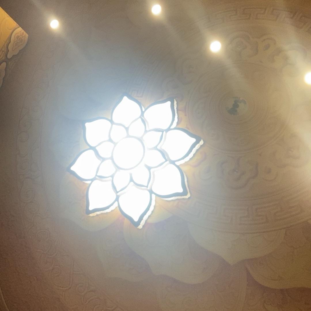 凤舞九天