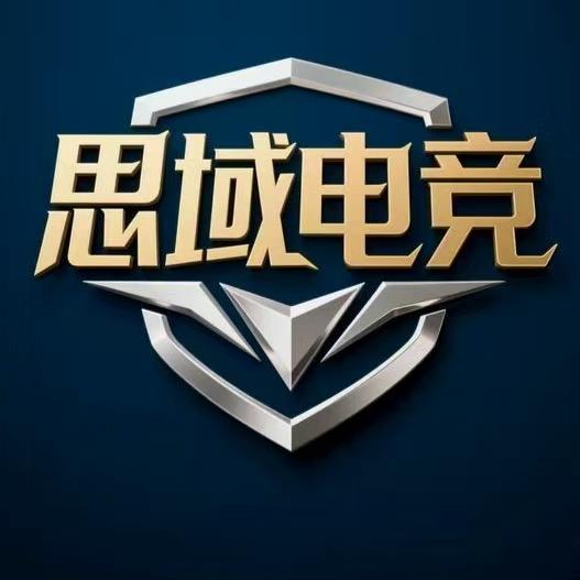 思域电竞