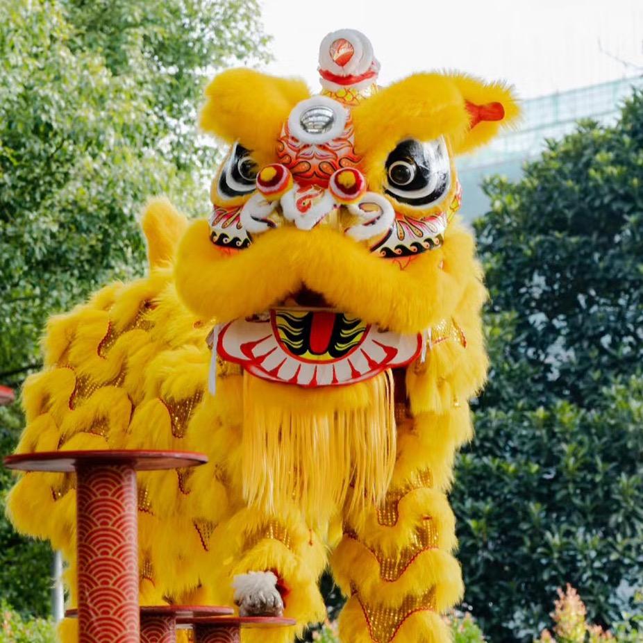 石家庄龙狮武道舞狮团（栾狮）