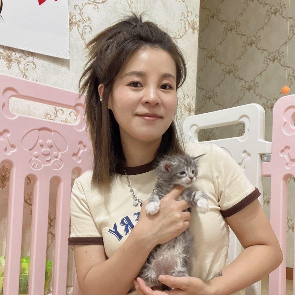 成都麦子宠物猫舍（直播号）