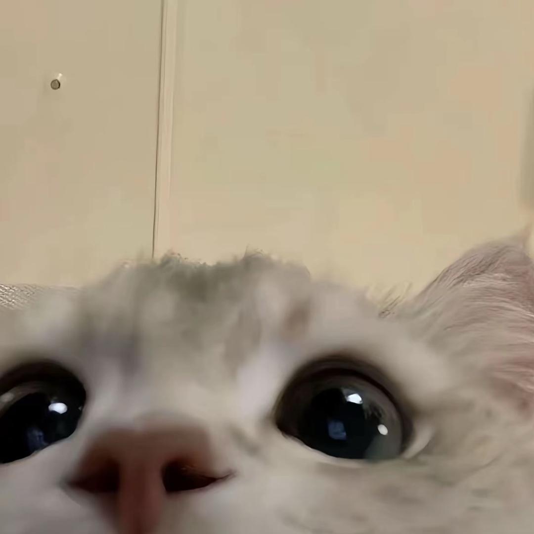 咨悦