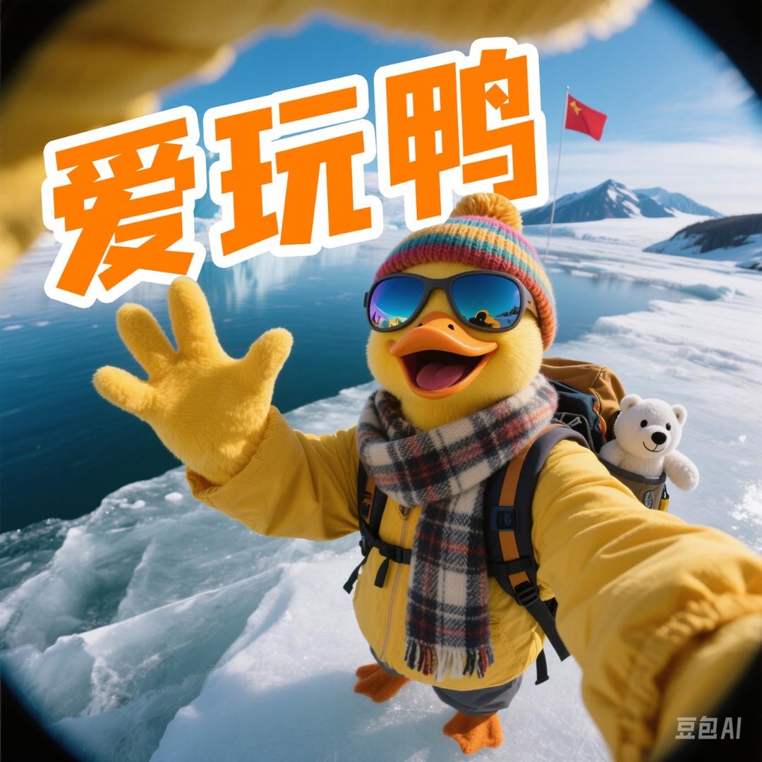 爱玩鸭