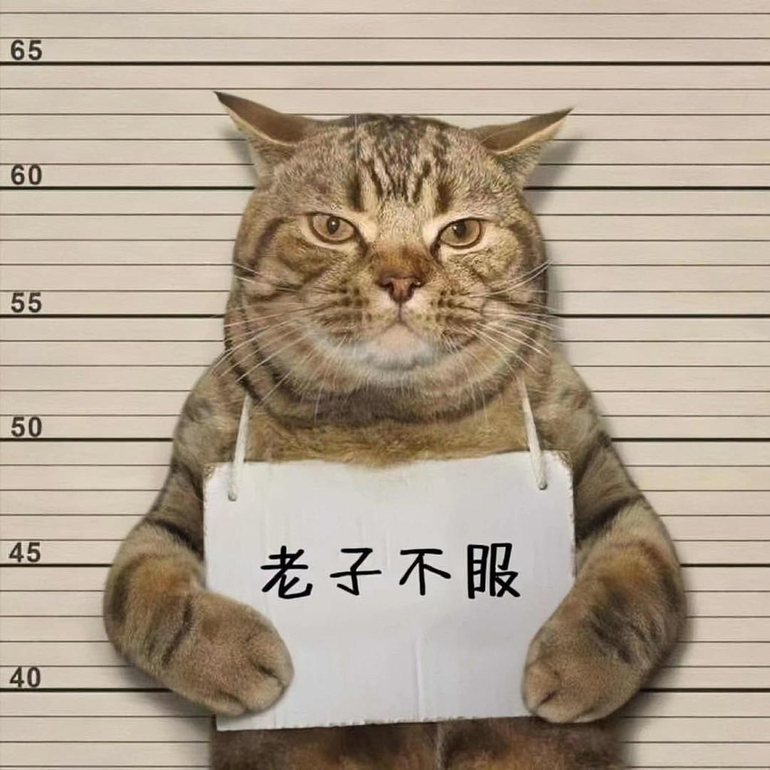 闲居东隅