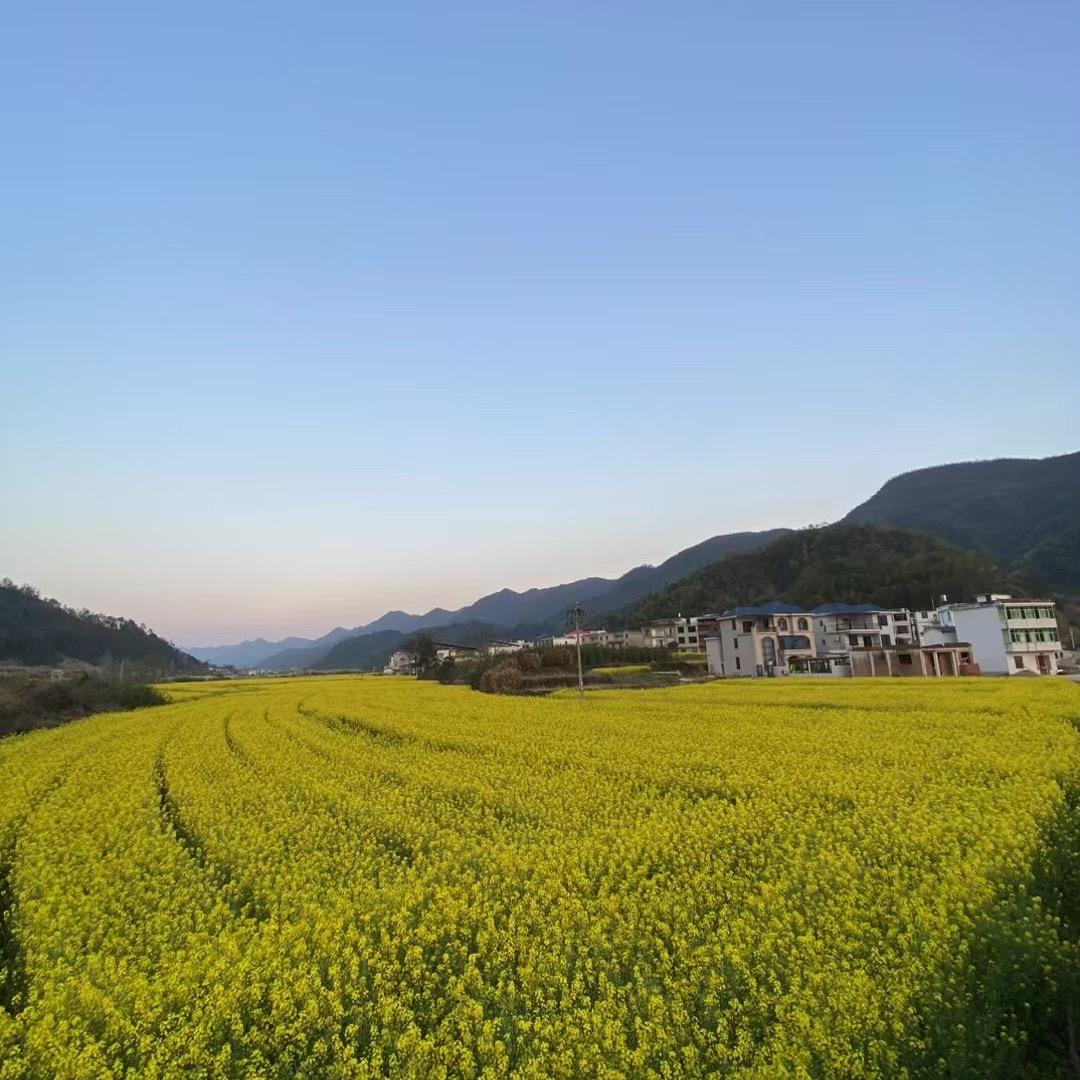 李白