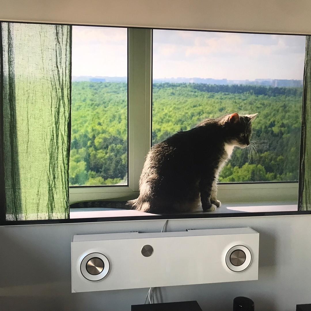 🦀七月的故事🦀